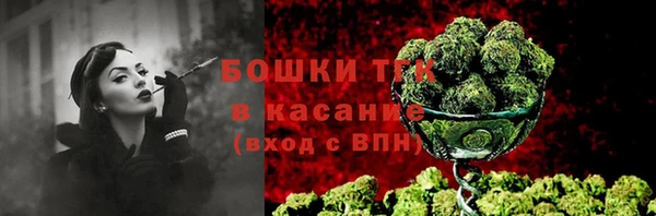 мяу мяу мука Баксан