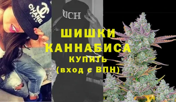 ГАЛЛЮЦИНОГЕННЫЕ ГРИБЫ Балабаново