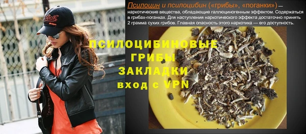 мяу мяу мука Баксан