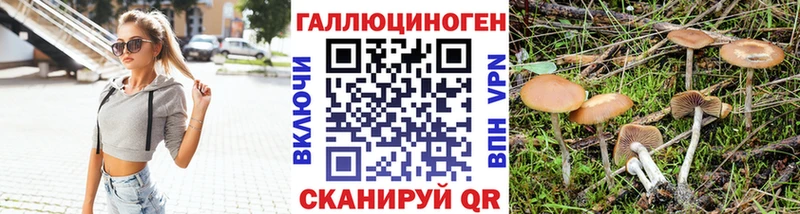 Псилоцибиновые грибы прущие грибы  darknet какой сайт  Волгореченск 